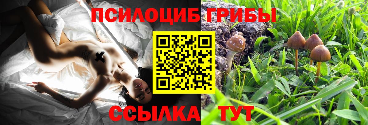 Галлюциногенные грибы ЛСД Прокопьевск